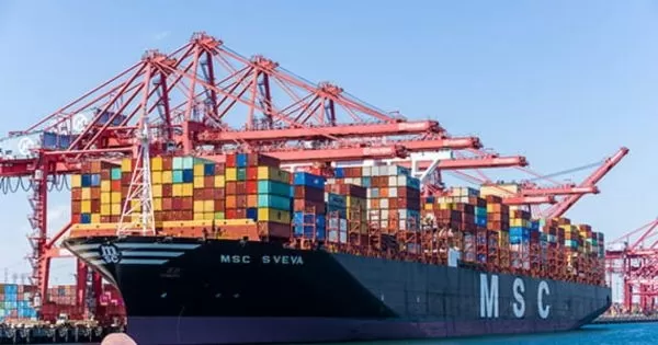 msc container ships